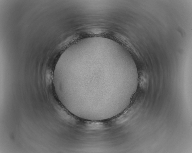 X0000110890476200907021521