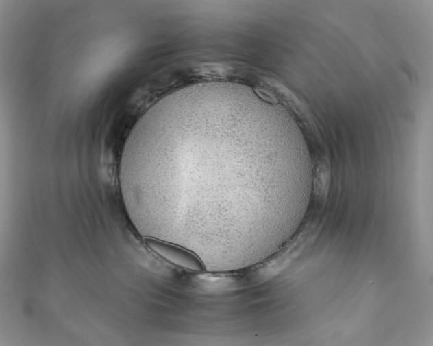 X0000110890477200907021521