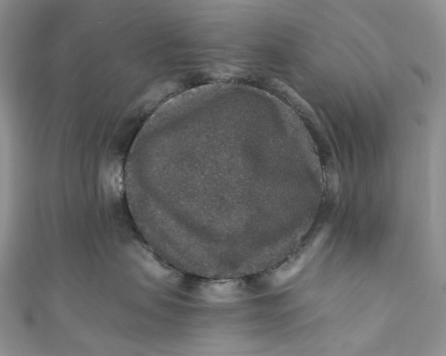 X0000110890479200907021521