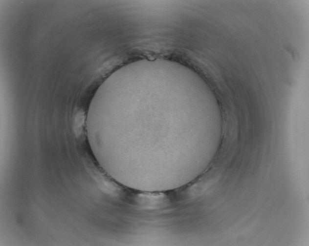 X0000110890480200907021521