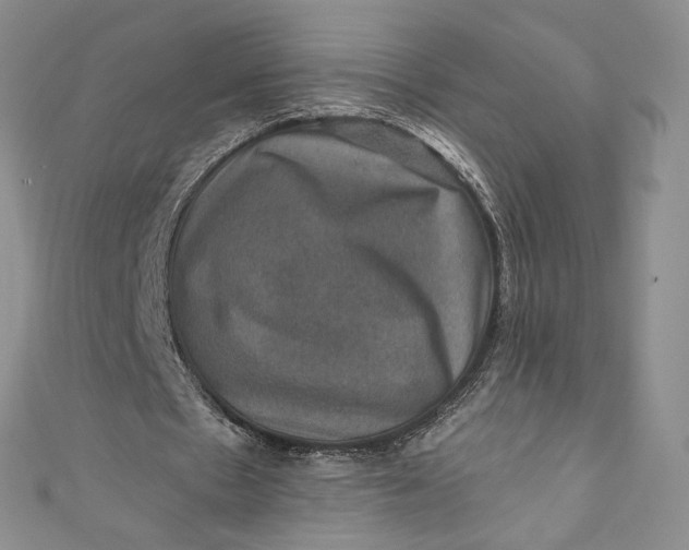 X0000110890481200907021520