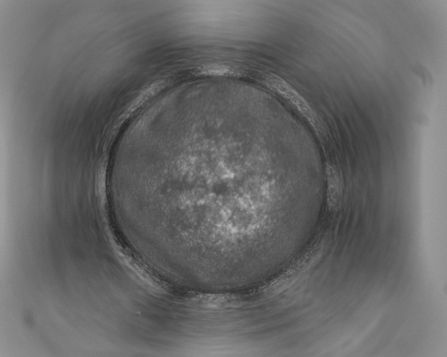 X0000110890482200907021520