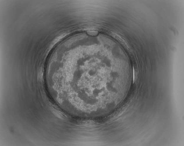 X0000110890483200907021520