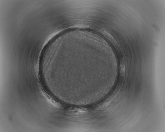 X0000110890484200907021520