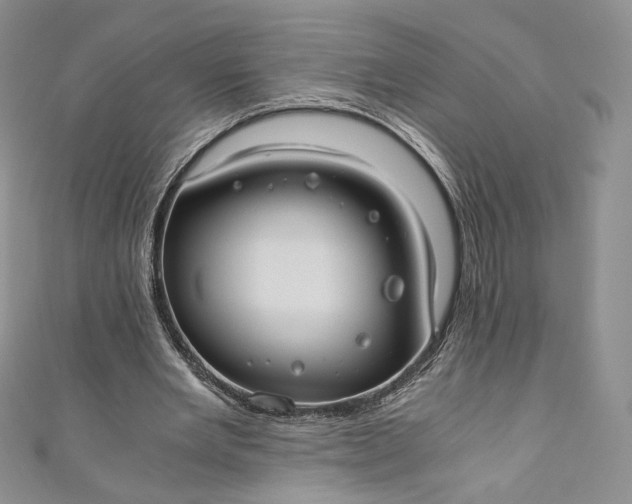 X0000110890485200907021520