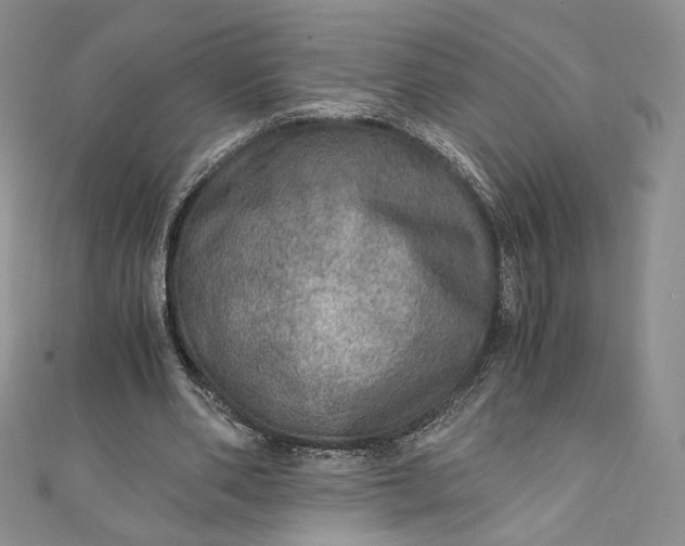 X0000110890486200907021520