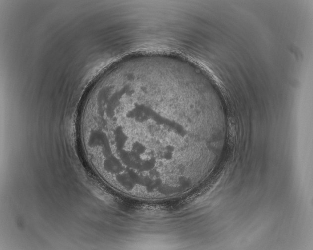 X0000110890487200907021520