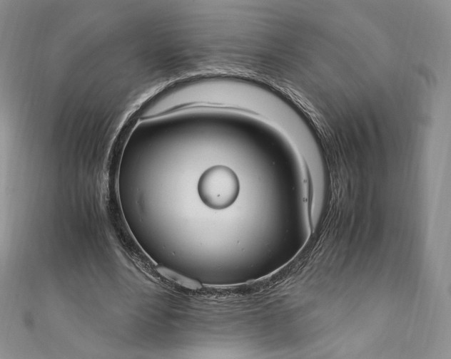 X0000110890488200907021520