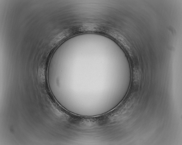 X0000110890489200907021520