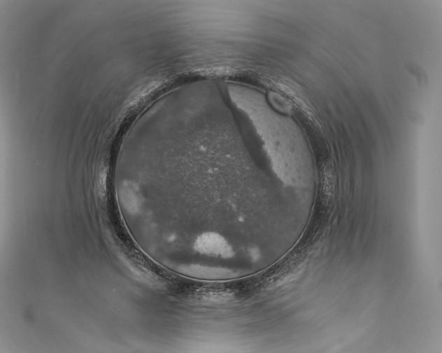 X0000110890491200907021520