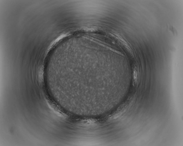 X0000110890492200907021520