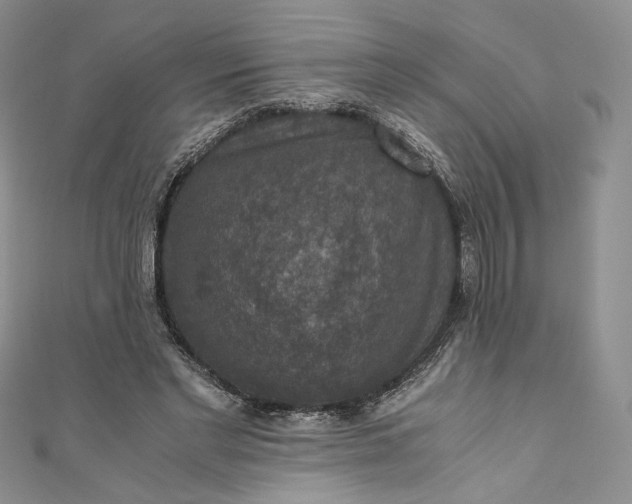 X0000110890493200907021520