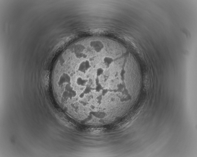 X0000110890495200907021520