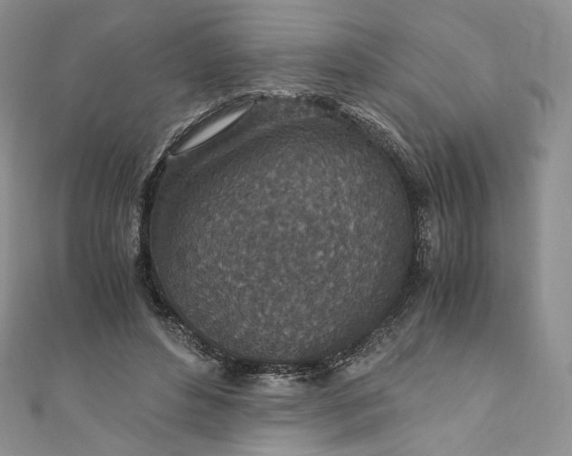 X0000110890496200907021520