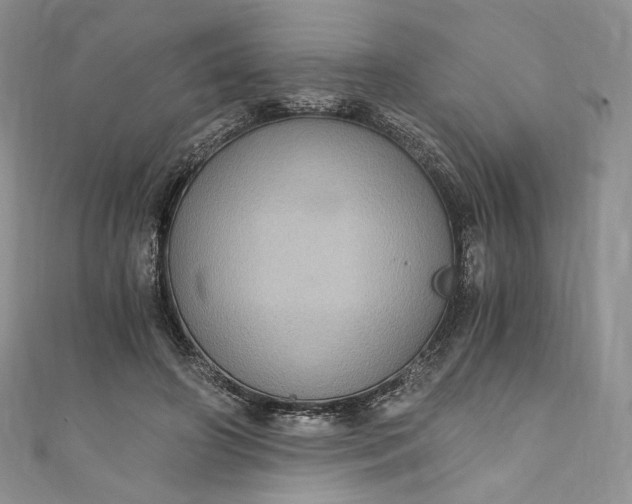 X0000110890498200907021520