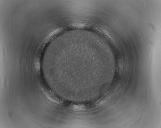 X0000110890500200907021520