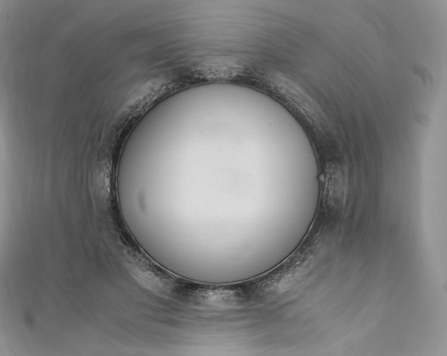 X0000110890501200907021520