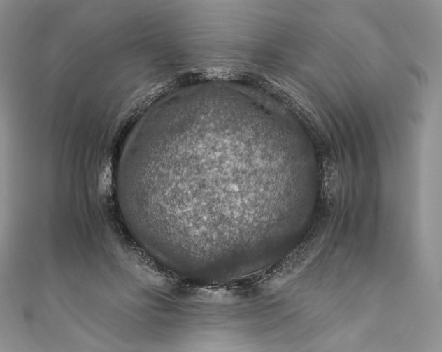 X0000110890502200907021520