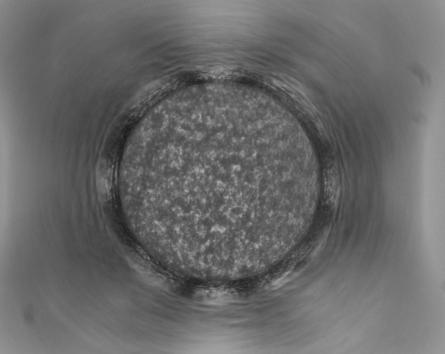 X0000110890503200907021520