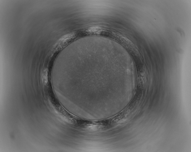 X0000110890504200907021520