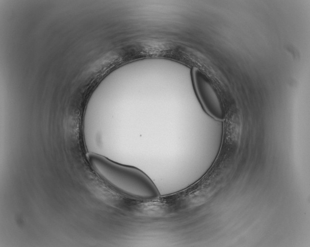 X0000110890505200907021520