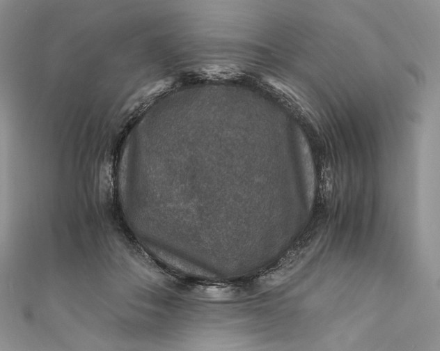 X0000110890506200907021520