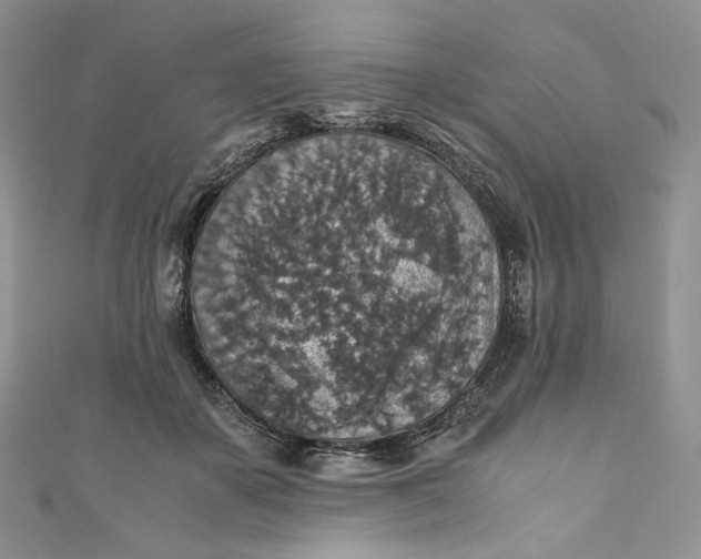 X0000110890507200907021520