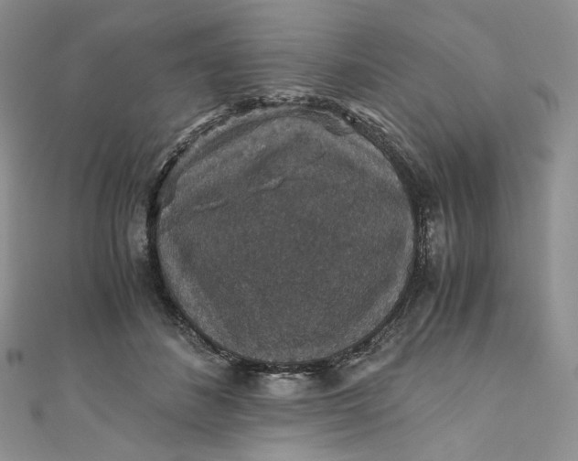 X0000110890508200907021520