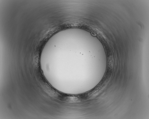 X0000110890509200907021520