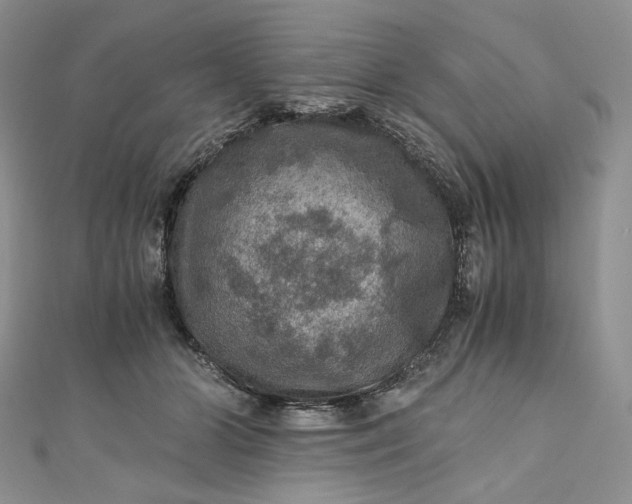 X0000110890510200907021520