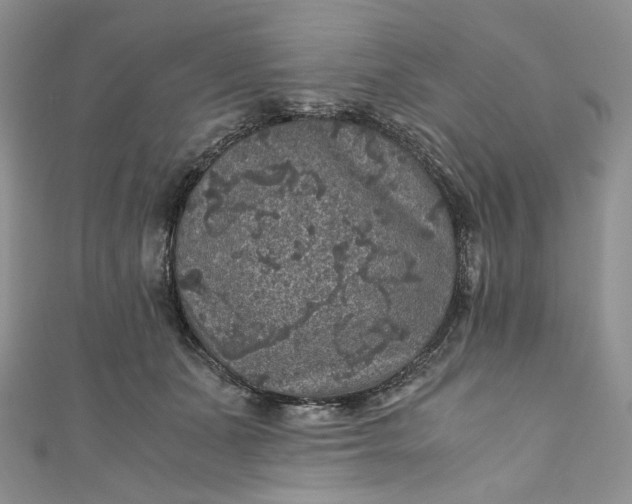 X0000110890511200907021520