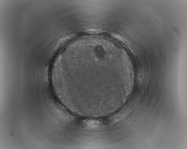 X0000110890512200907021520