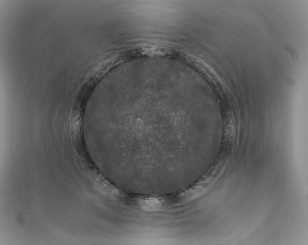 X0000110890513200907021520