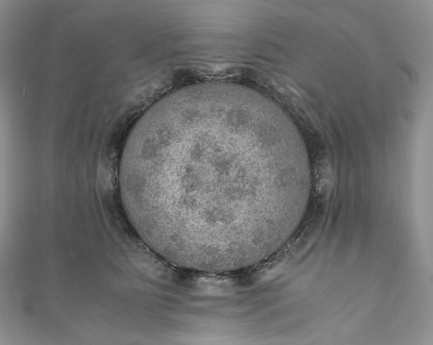 X0000110890515200907021520