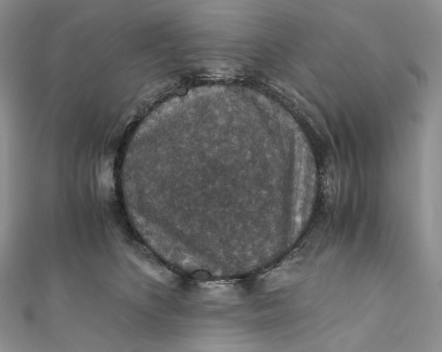 X0000110890516200907021520