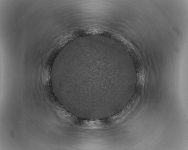 X0000110890517200907021520