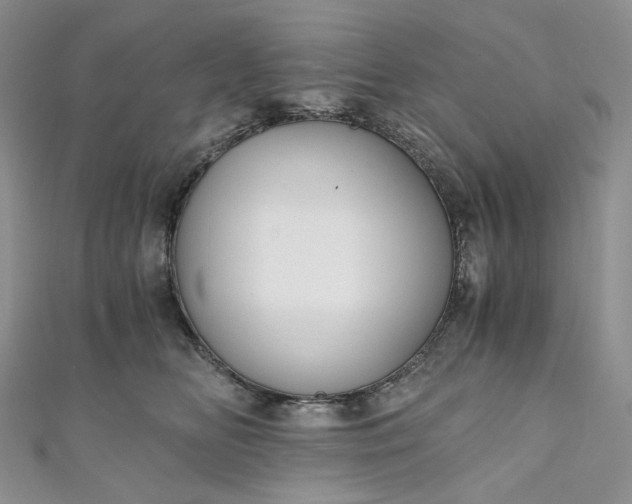 X0000110890518200907021520