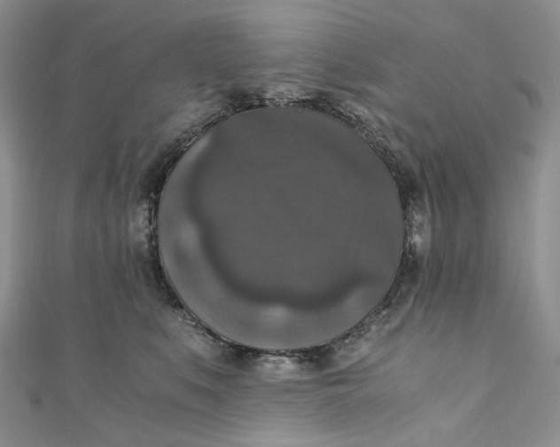 X0000110890519200907021520