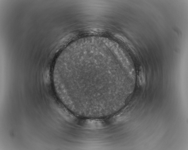 X0000110890520200907021520