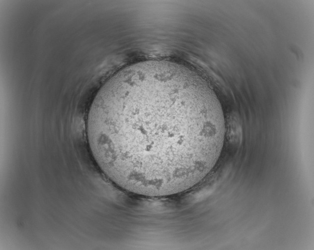 X0000110890523200907021520