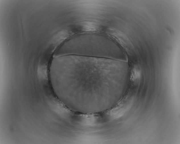 X0000110890524200907021520