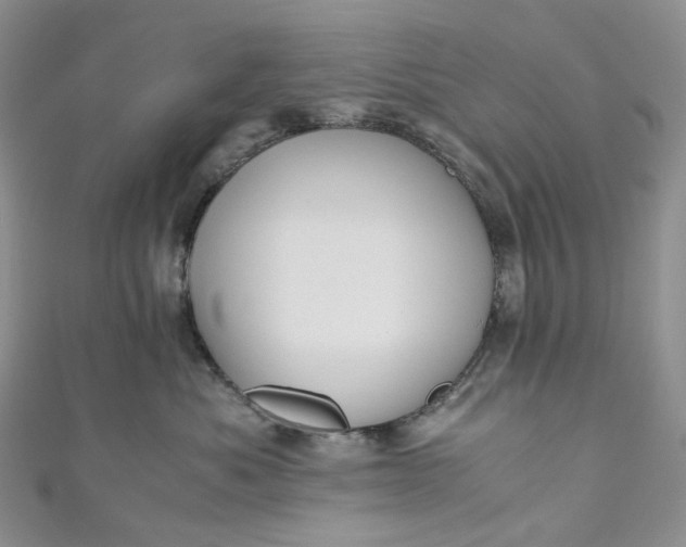 X0000110890525200907021520