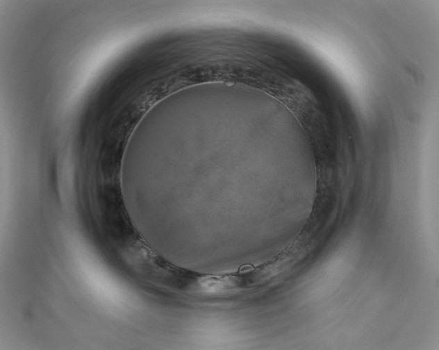 X0000110890526200907021520