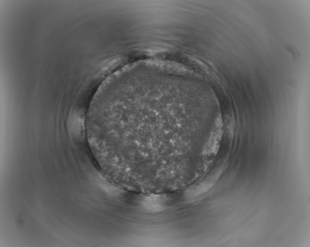 X0000110890527200907021520