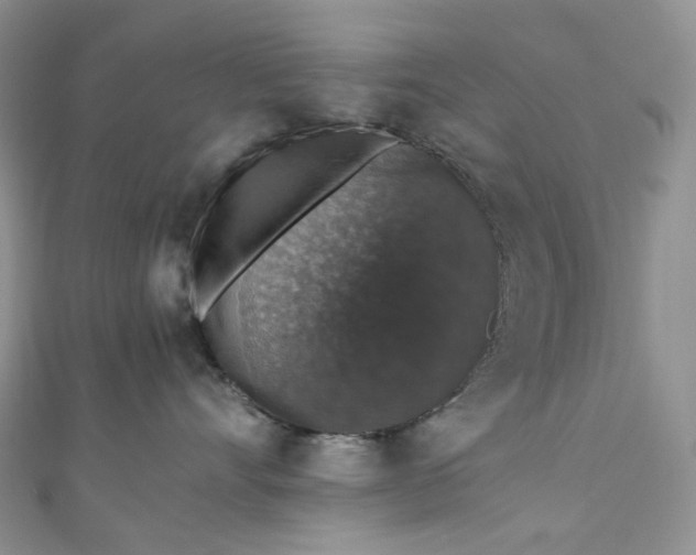 X0000110890528200907021520