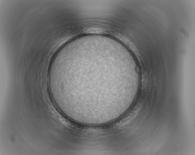 X0000110890529200907021519