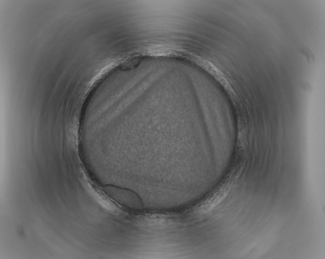 X0000110890530200907021519