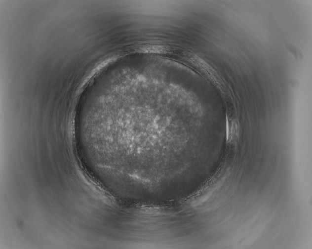 X0000110890531200907021519