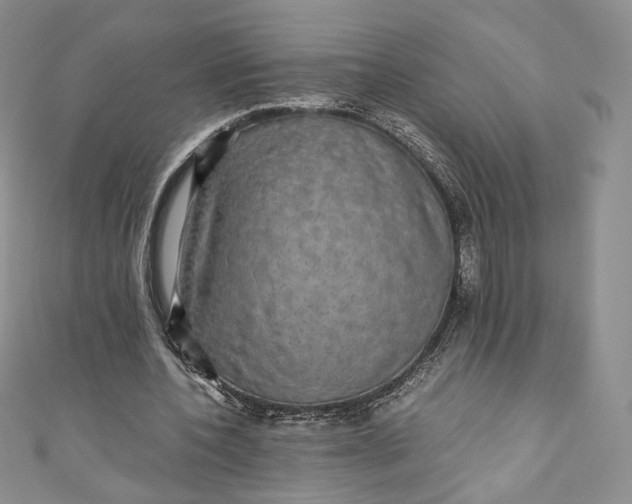 X0000110890532200907021519