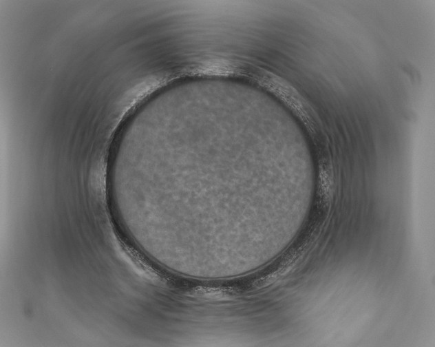 X0000110890534200907021519